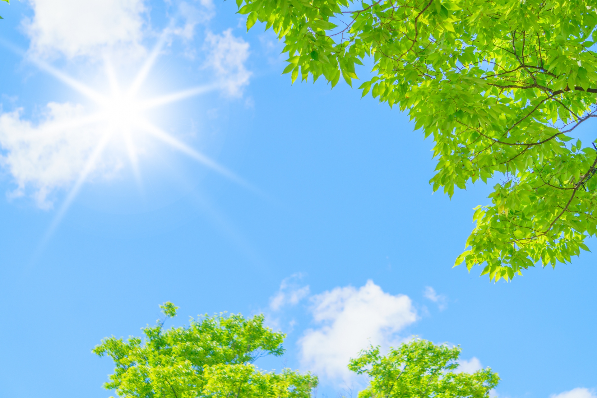 当組合では外国人技能実習生を監理してくれる職員を募集しています。